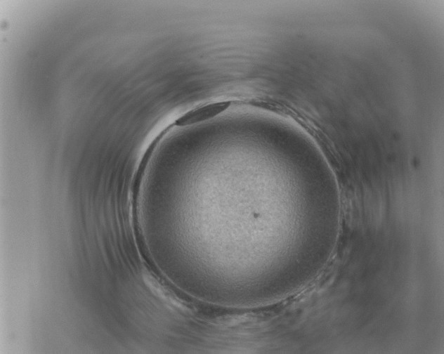 X0000073750100200608102030