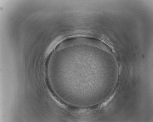 X0000073750101200608102030