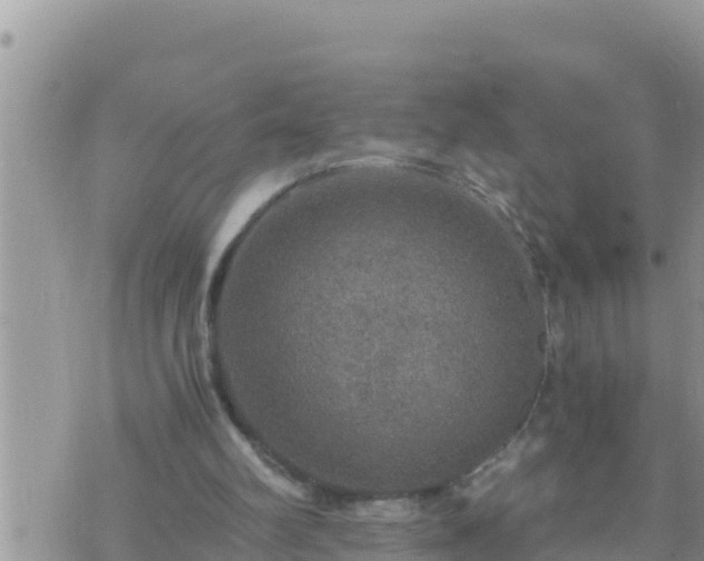 X0000073750102200608102030