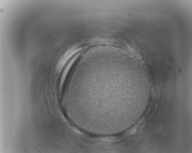 X0000073750103200608102030