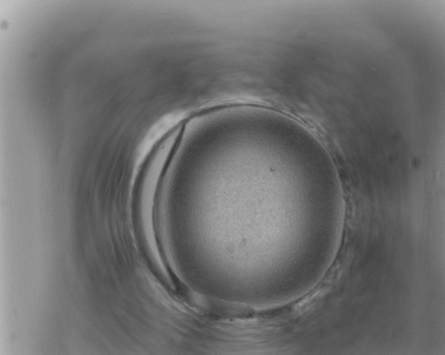 X0000073750104200608102030