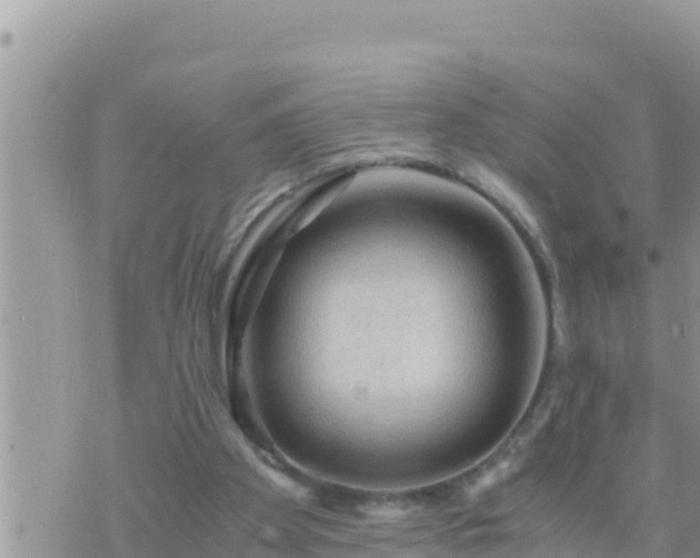 X0000073750105200608102030