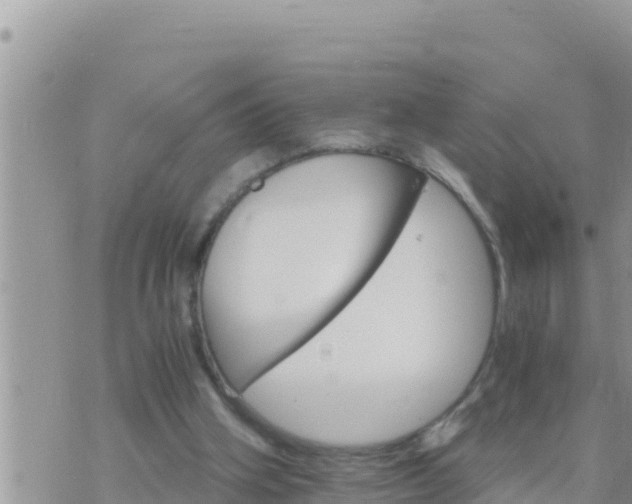 X0000073750106200608102030