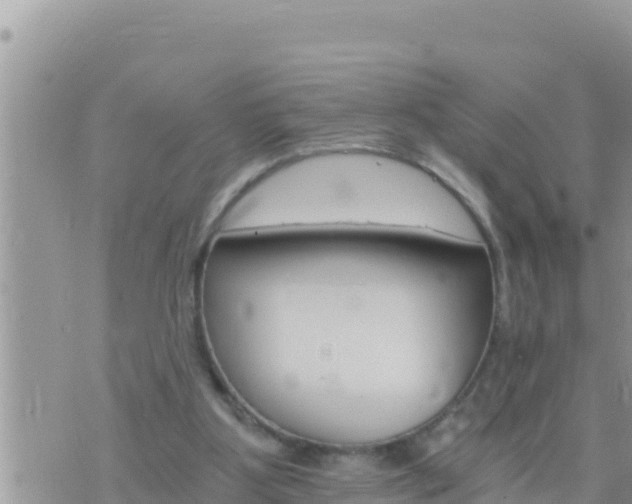 X0000073750107200608102030