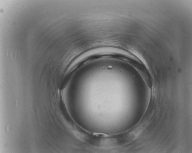 X0000073750109200608102030