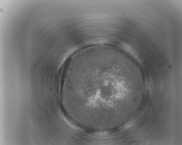 X0000073750110200608102030