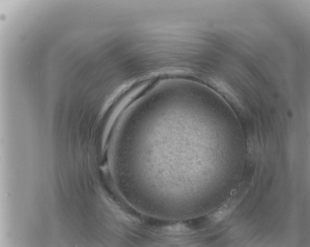 X0000073750112200608102030