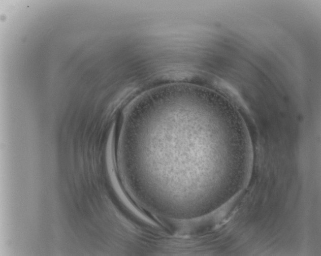 X0000073750114200608102030