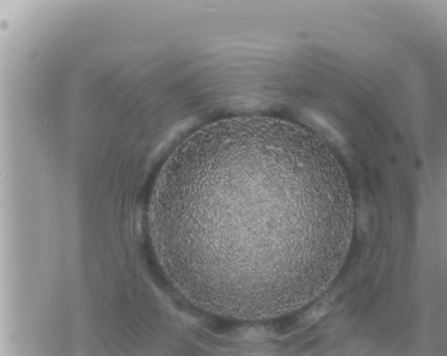 X0000073750115200608102030