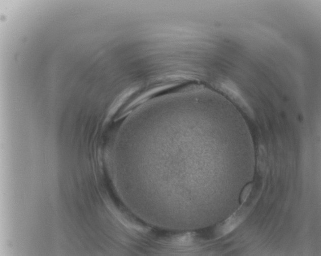 X0000073750116200608102030