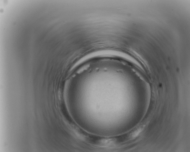 X0000073750117200608102030