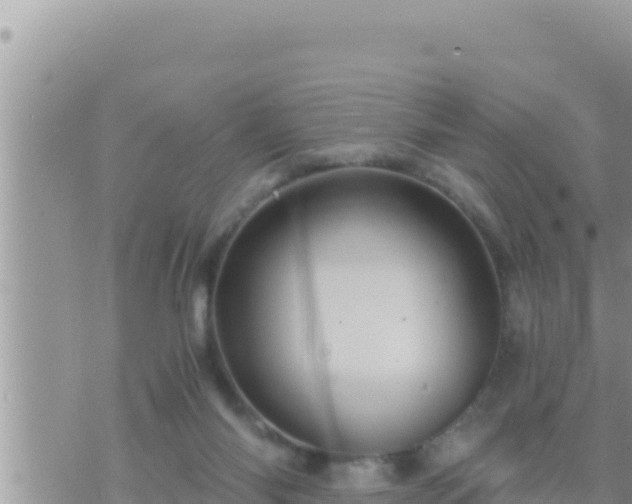 X0000073750118200608102030