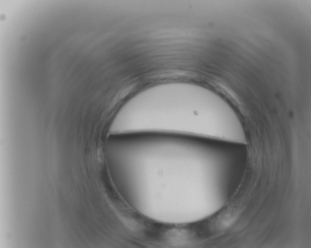 X0000073750119200608102030