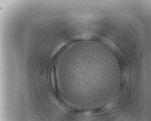 X0000073750120200608102030