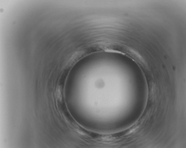 X0000073750121200608102030