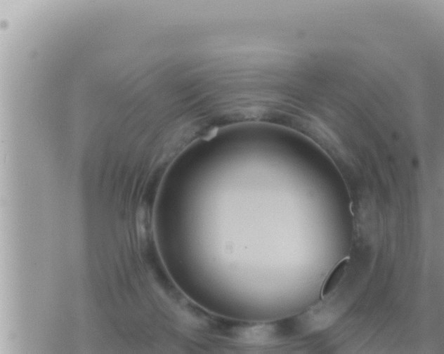 X0000073750122200608102030