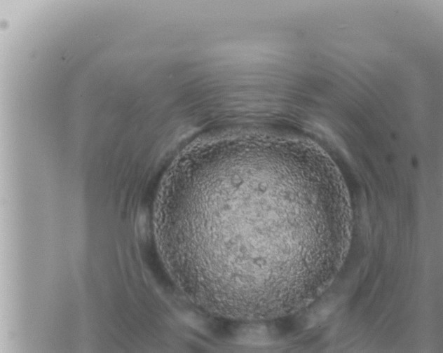 X0000073750123200608102030