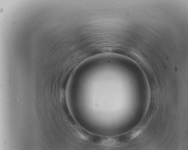 X0000073750125200608102030