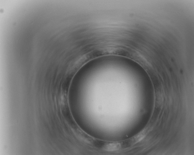 X0000073750126200608102030