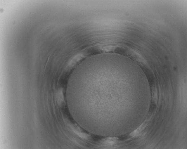 X0000073750128200608102030