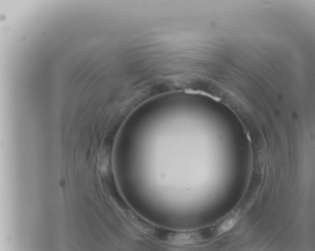 X0000073750129200608102030