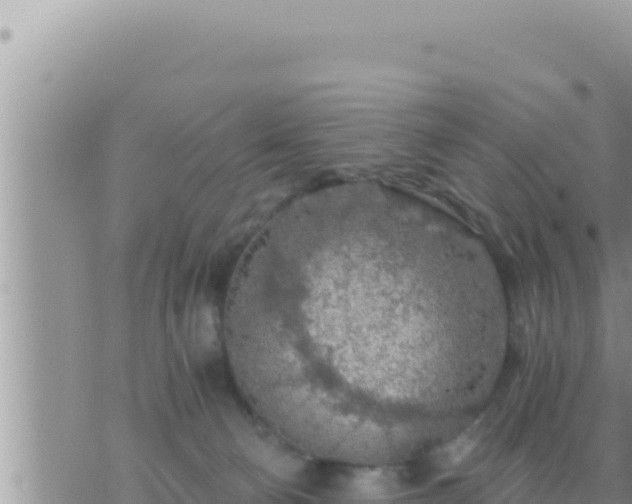 X0000073750130200608102030