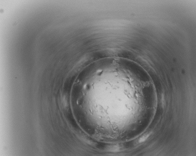 X0000073750131200608102030