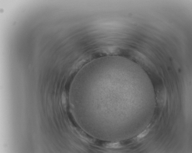 X0000073750132200608102030