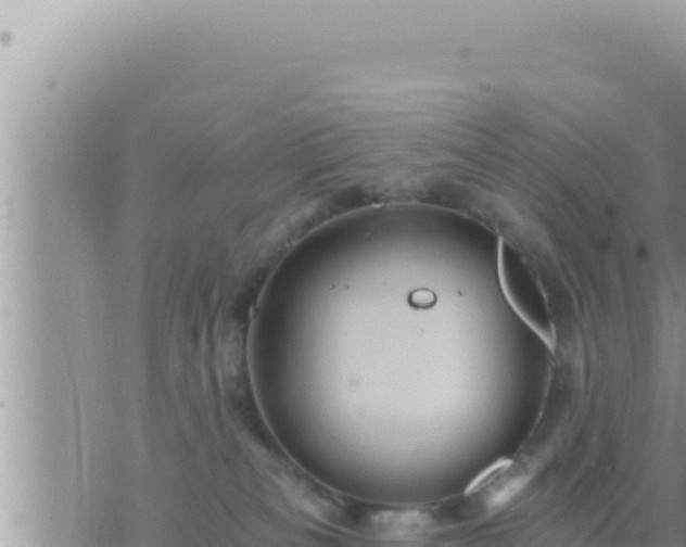 X0000073750133200608102030