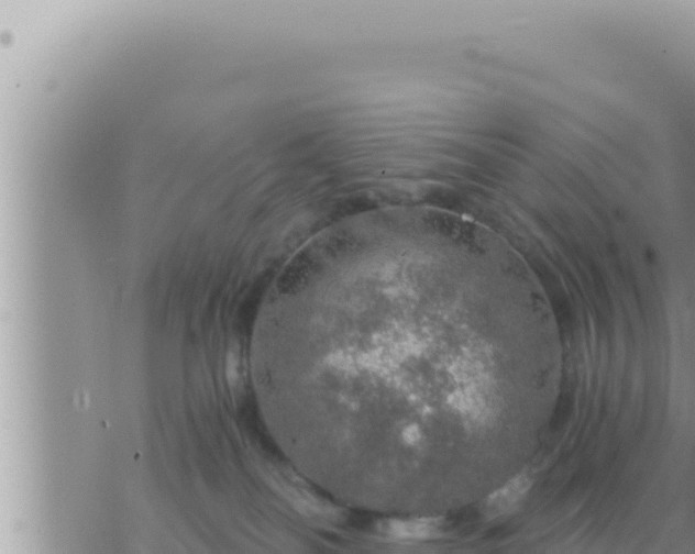 X0000073750134200608102030