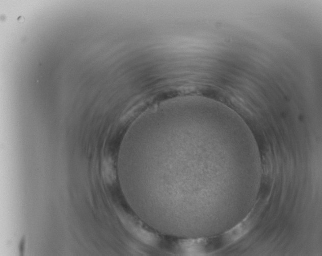 X0000073750136200608102030