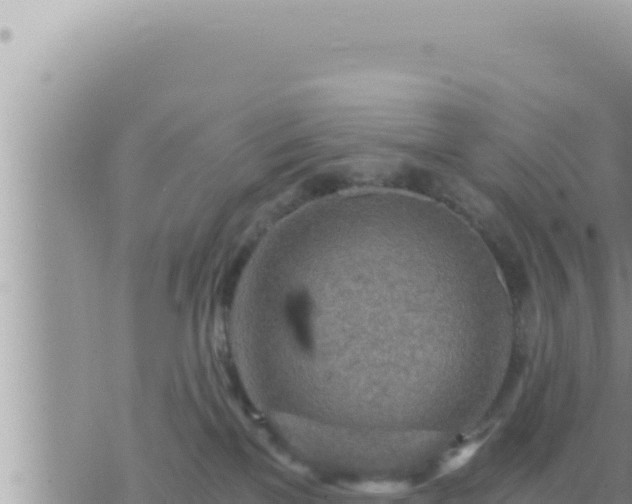 X0000073750137200608102030