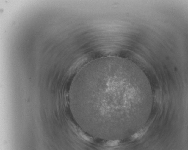 X0000073750138200608102030