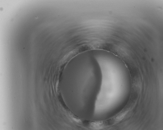 X0000073750139200608102030