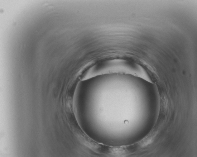 X0000073750141200608102030