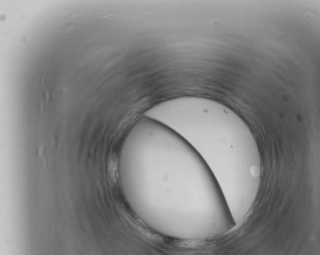 X0000073750142200608102030