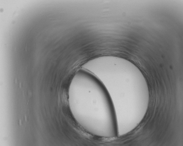 X0000073750143200608102030