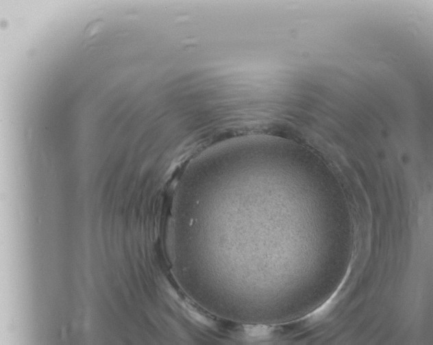 X0000073750144200608102030