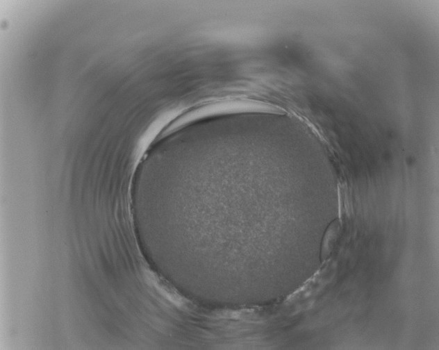 X0000073750147200608102029