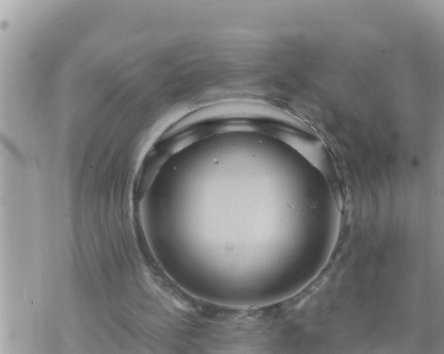 X0000073750148200608102029