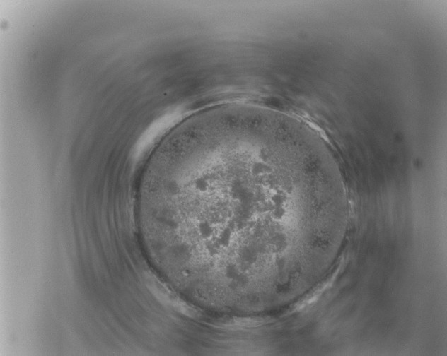 X0000073750149200608102029