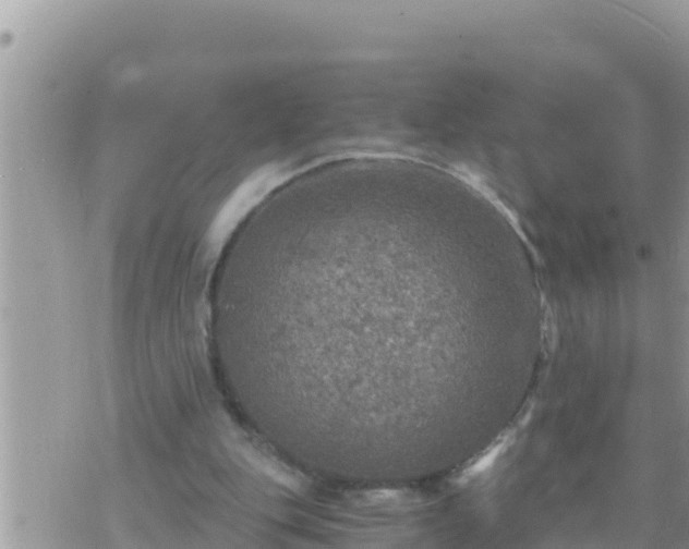 X0000073750151200608102029