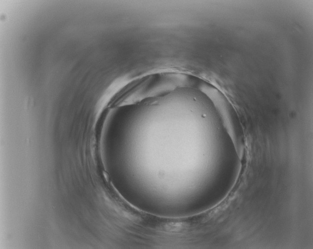 X0000073750152200608102029