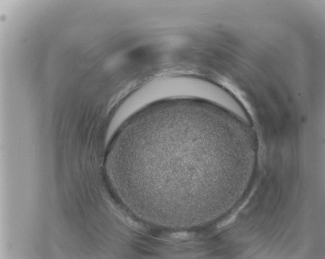 X0000073750153200608102029