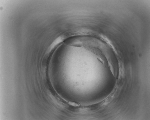 X0000073750154200608102029