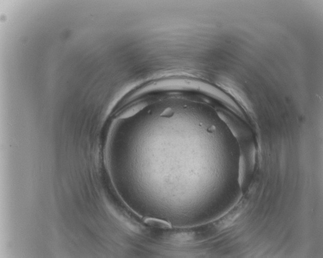 X0000073750156200608102029