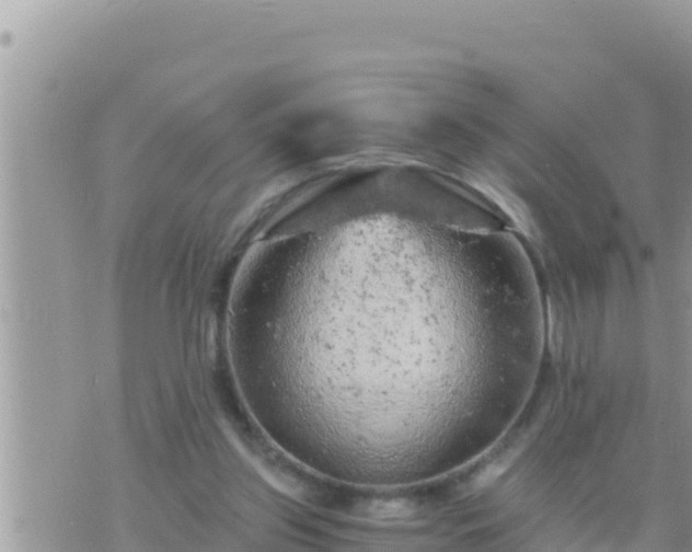 X0000073750157200608102029