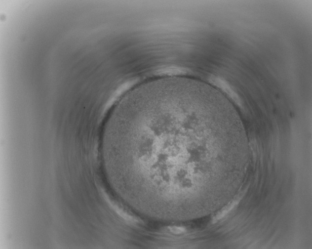 X0000073750159200608102029