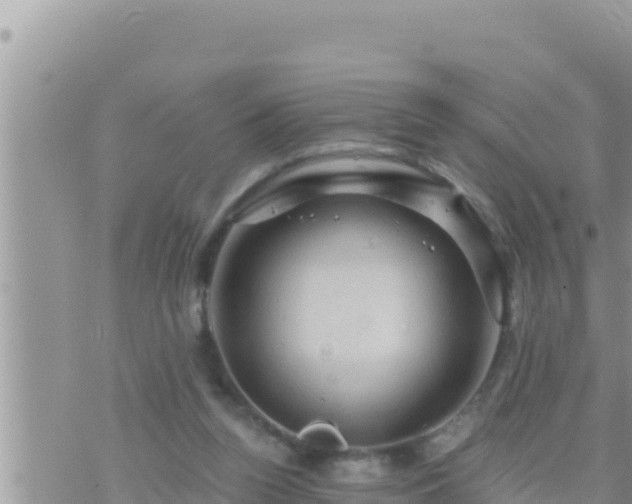 X0000073750160200608102029