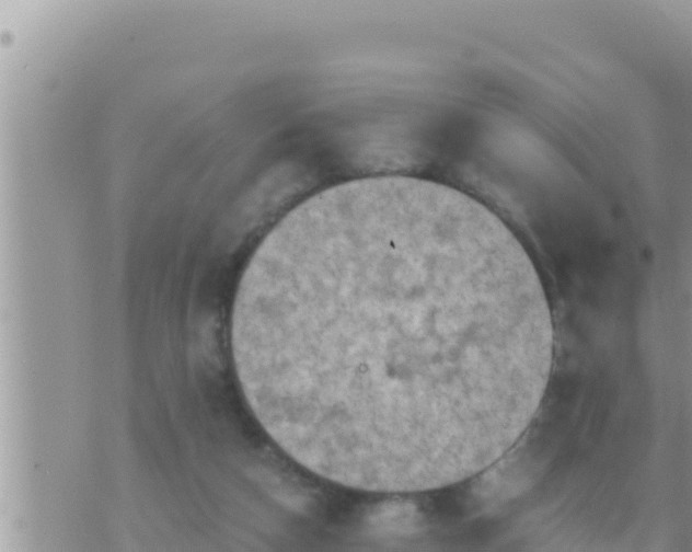 X0000073750162200608102029